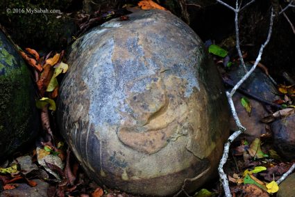 Smiling rock in Mahua substation