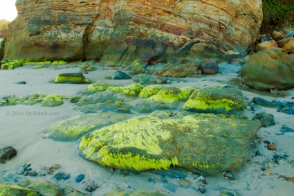 Interesting rock formation and rocks covered by green algae