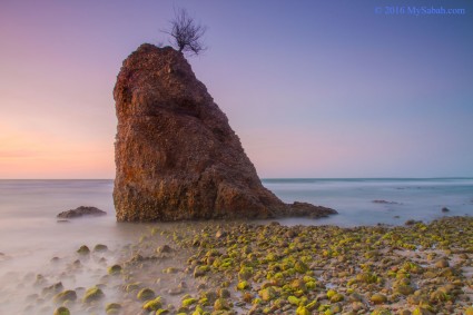 Batu Luang and surrounding pebbles covered by green algae