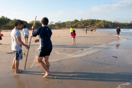 Seine Fishing at the shore