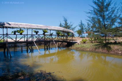 Small river at Small bridge of Tempurong Golden Beach Resort
