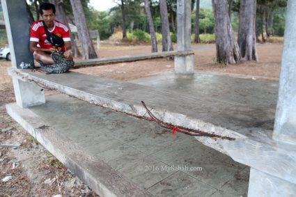 Damaged bench in the shelter