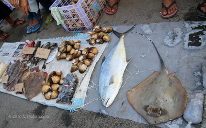 Local seafood in tamu