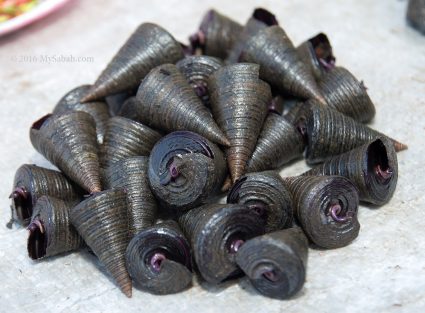 Telescope Creeper Shells