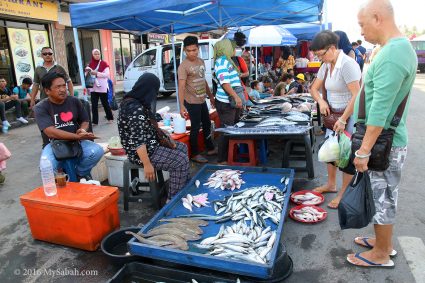 Variety of fresh seafood