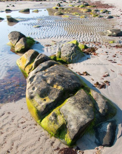 Rock formation along the beach