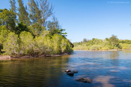 Mangrove river behind Bawang Jamal Beach