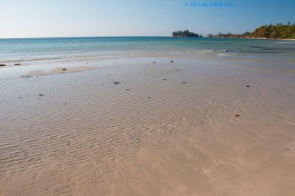 Intertidal zone