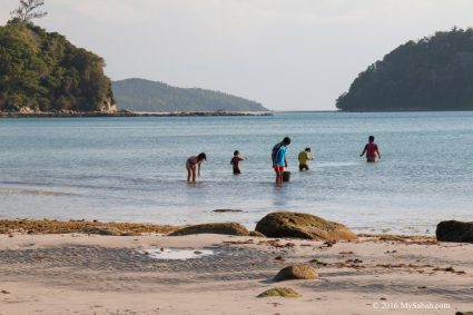 Local children beachcombing for shells and seaweed