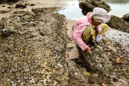Villager collecting mussels