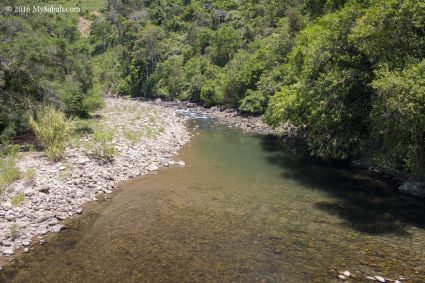 River under the hanging bridge