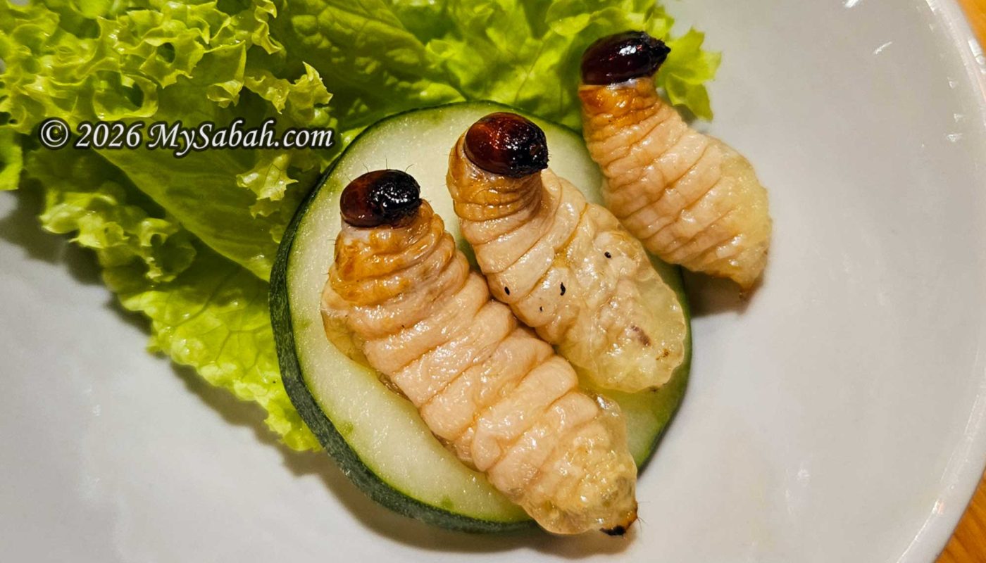 Butod Goreng (Fried Sago Grubs)