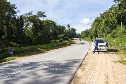 parking car at roadside