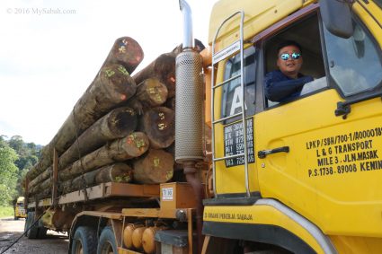 logging truck driver