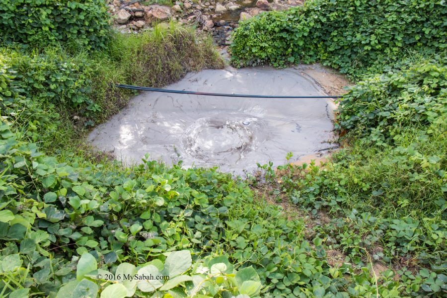 Mud Volcano in Kalabakan (Sabah) - MySabah.com