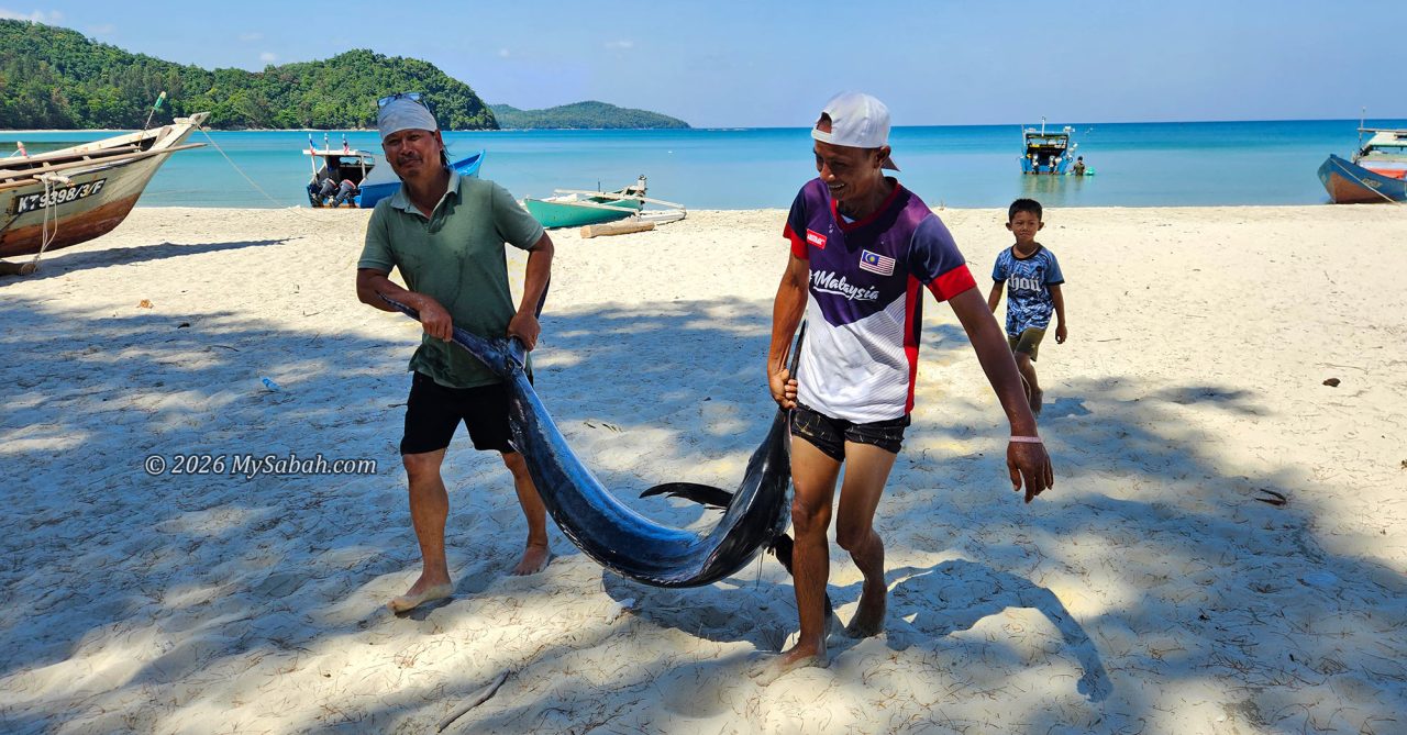 Fishermen caught a marlin.