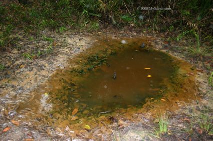 Oil well of Kg Minyak