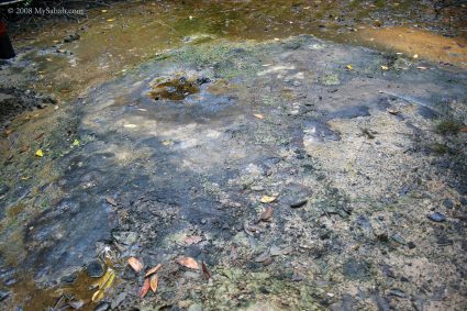 Oil seepages of Kampung Minyak Village