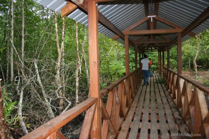 Boardwalk to the oil seepages