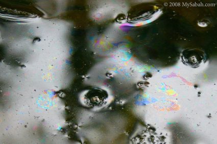 Colorful reflection of oil slick