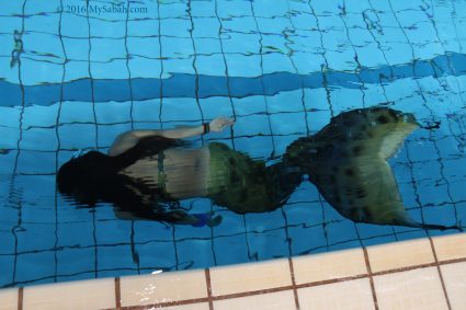 Mermaid in swimming pool