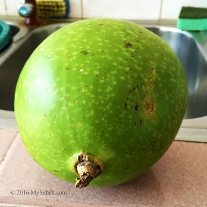 Fig fruit (Buah Maja)