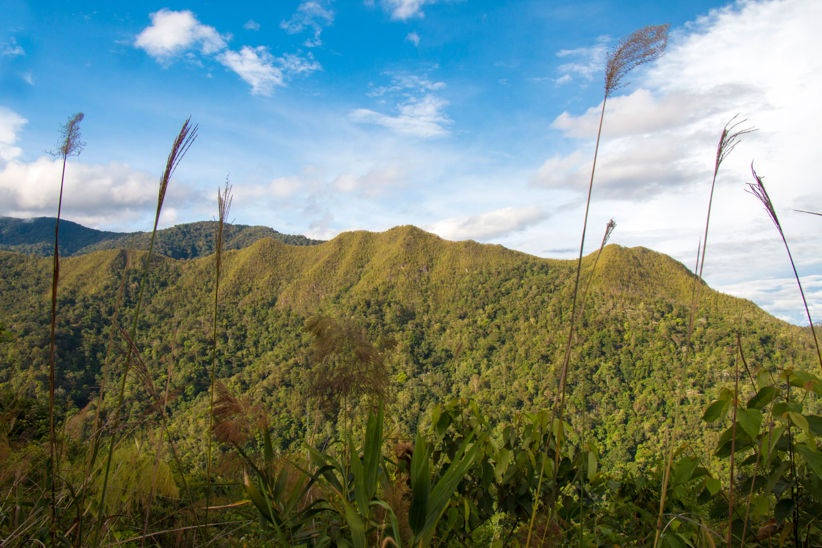 Climbing Mount Wakid (Gunung Wakid)