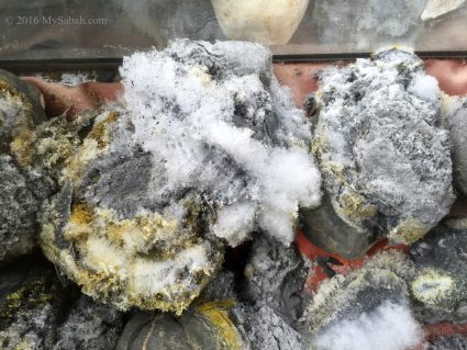 needle-like crystals keep growing on these rocks