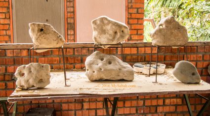 Rocks that looks like animal heads