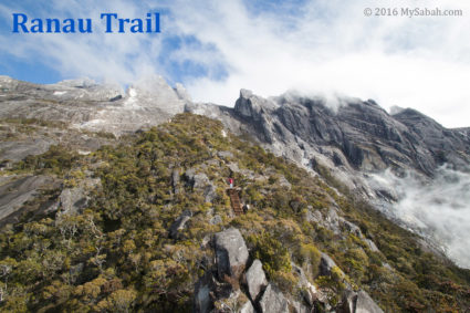 Ranau trail