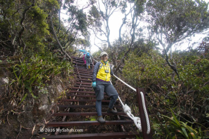 Staircase on Kota Belud Trail