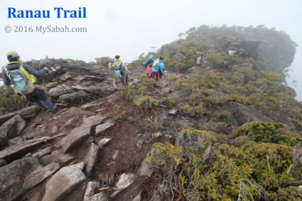 Nature path of Ranau Trail