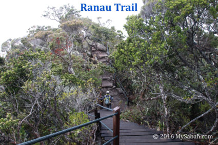 Ranau Trail is flanked by dense vegetation