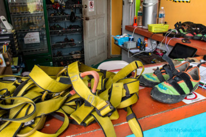 Harness and climbing shoes