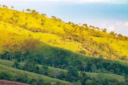 Sunrise lit up part of the hill