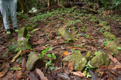 The grave of Gambaliu