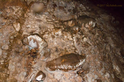 Rock wall of Bat Cave