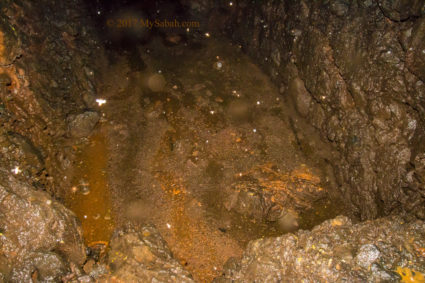 Guano pool near the end of cave