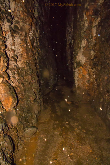 Deep inside the Bat Cave