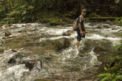 Crossing the Serinsim River