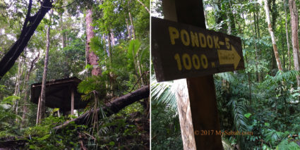 Gazebo No.4: Pondok Menggilan, 1,000 Meters to gazebo No.5