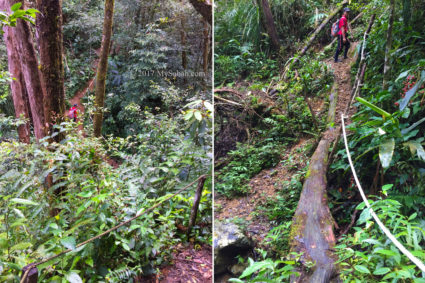 Steep gravel trail