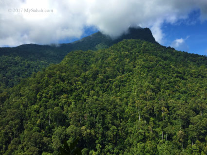 Peak of Mt. Nombuyukong in the cloud