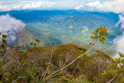 View from the peak of Mt. Nombuyukong