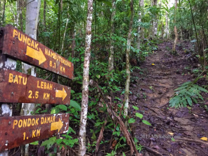 Junction to the peak of Mt. Nombuyukong