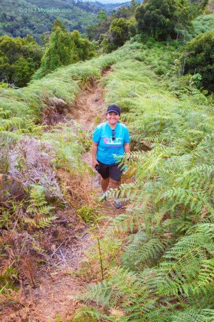 The fern path on Bukit Lugas