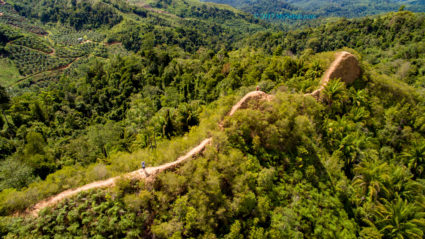 Bukit Lugas looks like a dragon back from the air