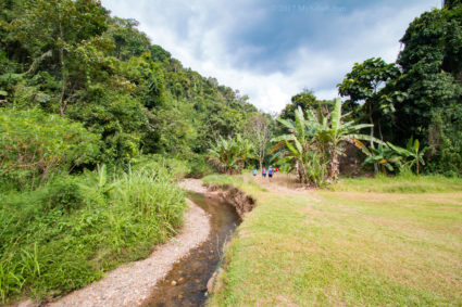 Start hiking to the hill