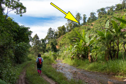 Going to the foothill. The yellow arrow points at the start of Bukit Lugas