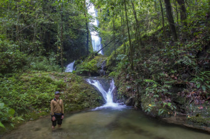 Fresh water from Kinabalu Park